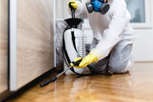 Best Residential Pest Control  in Freedom, PA