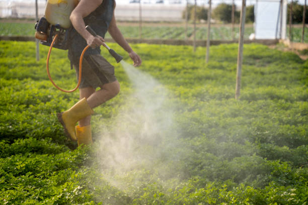 Best Affordable Pest Control Services  in Freedom, PA