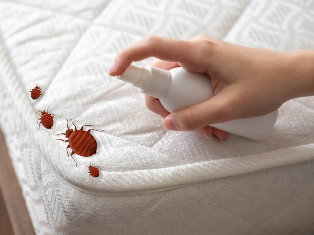 Best Emergency Pest Control  in Freedom, PA
